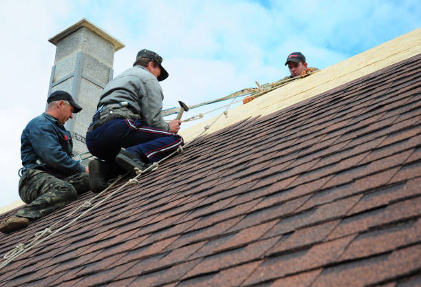 Best Roof Leak Repair  in Eufaula, AL