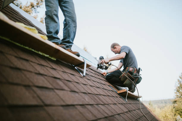 Best Storm Damage Roof Repair  in Eufaula, AL